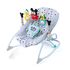 Balansoar Baby Einstein Dis Infant to toddler MickeyTakealong