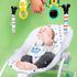 Balansoar Baby Einstein Dis Infant to toddler MickeyTakealong,poza 4