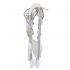 Scaun de masa Joie Mimzy Snacker Cosy Spaces, Culoare: Portocaliu,poza 6