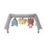 Balansoar BabyBjorn Bliss Light Grey, 3D Jersey, cu bara de jucarii,poza 4