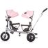 Tricicleta gemeni Chipolino 2Play peony pink, Culoare: Roz,poza 4