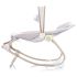 Scaunel balansoar Chipolino Dolce lion, Culoare: Gri,poza 5