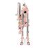 Scaun de masa 2 in 1 Peg Perego Prima Pappa Zero Follow Me, 0-15 Kg, Super Girl, Culoare: Roz,poza 3