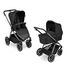 Carucior 2 in 1 Samba Dolphin Diamond ABC Design, Culoare: Negru  - ExclusivMAG.ro