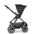 Carucior 2 in 1 Samba Dolphin Diamond ABC Design, Culoare: Negru - poza 8 - ExclusivMAG.ro
