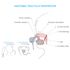Aspirator nazal electric Nosiboo Pro2 Albastru, Culoare: Albastru - poza 9 - ExclusivMAG.ro