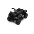 ATV electric Toyz MNI RAPTOR 6V Negru, Culoare: Negru, Capacitate acumulator: 6V
