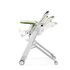 Scaun de masa 2 in 1 Peg Perego Siesta Follow Me, Jaguars, Culoare: Multicolor,poza 6