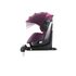 Parasolar Scaun Auto Zero.1 Power Berry - Recaro - poza 2 - ExclusivMAG.ro