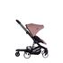 Platforma pentru Carucior Buggy XS, Charley si Harvey Easywalker Easywalker - poza 2 - ExclusivMAG.ro
