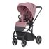 Carucior troller reversibil (max. 22 Kg) Carrello ALFA 2 in 1 Rouge Pink, Culoare: Roz, Model: 2 in 1 - poza 3 - ExclusivMAG.ro
