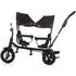 Tricicleta gemeni Chipolino 2Play obsidian leaves, Culoare: Negru,poza 5