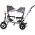 Tricicleta gemeni Chipolino 2Play silver grey, Culoare: Gri deschis,poza 5