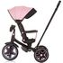 Tricicleta cu copertina si sezut reversibil Chipolino Derby flamingo, Culoare: Roz,poza 6