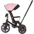 Tricicleta cu copertina si sezut reversibil Chipolino Derby flamingo, Culoare: Roz,poza 7