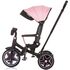 Tricicleta cu copertina si sezut reversibil Chipolino Derby flamingo, Culoare: Roz,poza 4