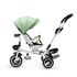 Tricicleta copii Juju Bliss Ride, Verde, Culoare: Verde,poza 5