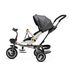 Tricicleta copii Juju Bliss Ride, Gri, Culoare: Gri,poza 3