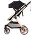 Carucior Chipolino Vista 3 in 1 blackberry, Culoare: Negru/Auriu, Model: 3 in 1,poza 5