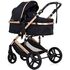 Carucior Chipolino Amore 3 in 1 noir, Culoare: Negru/Auriu, Model: 3 in 1,poza 2