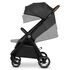 Carucior sport, Lionelo, Ingrid, Pana la 22 Kg, 6 luni+, Gri, Culoare: Gri, Model: sport,poza 4