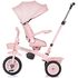 Tricicleta Chipolino Marathon flamingo, Culoare: Roz,poza 5