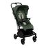 Carucior sport, Jane, Wing, De la nastere pana la 22 Kg, Conform cu standardul european EN 1888-1:2018+A1:2022, Botanic