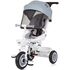 Tricicleta Chipolino Marathon ash grey, Culoare: Gri deschis,poza 2